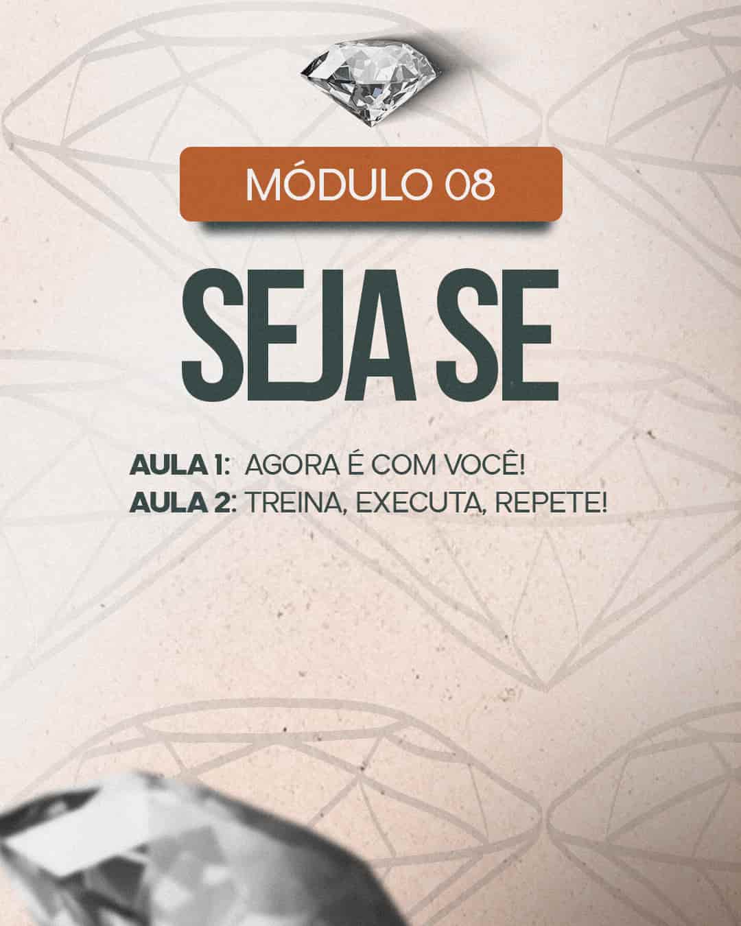 Módulo 8 do curso Simplesmente Excelente